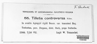 Tilletia controversa image